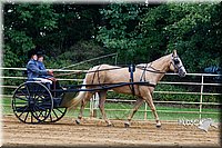 4H-Distr-090813-1468.jpg