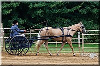 4H-Distr-090813-1469.jpg