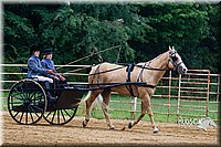 4H-Distr-090813-1470.jpg