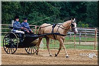 4H-Distr-090813-1471.jpg