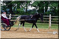 4H-Distr-090813-1472.jpg