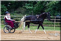 4H-Distr-090813-1473.jpg