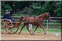 4H-Distr-090813-1474.jpg