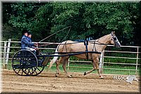 4H-Distr-090813-1478.jpg