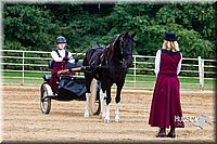 4H-Distr-090813-1479.jpg