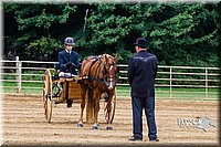 4H-Distr-090813-1480.jpg