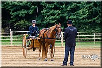 4H-Distr-090813-1481.jpg