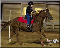 4H-Distr-090613-0386.jpg