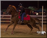 4H-Distr-090613-0387.jpg