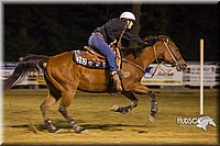 4H-Distr-090613-0425.jpg