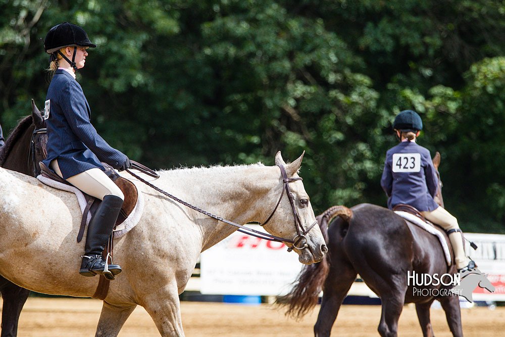 4H-Distr-090813-1608.jpg