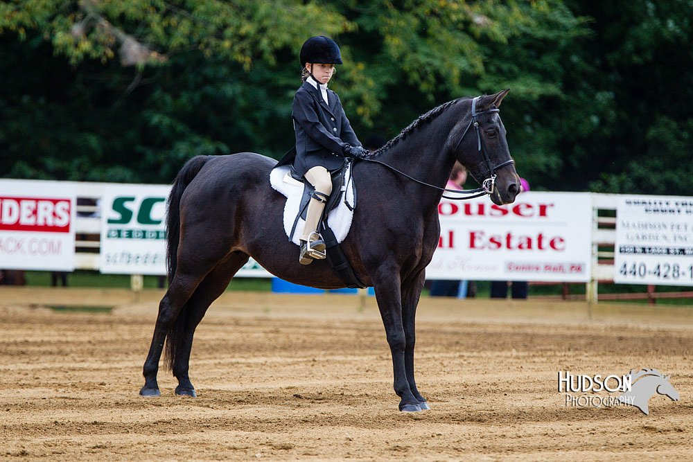4H-Distr-090813-1587.jpg