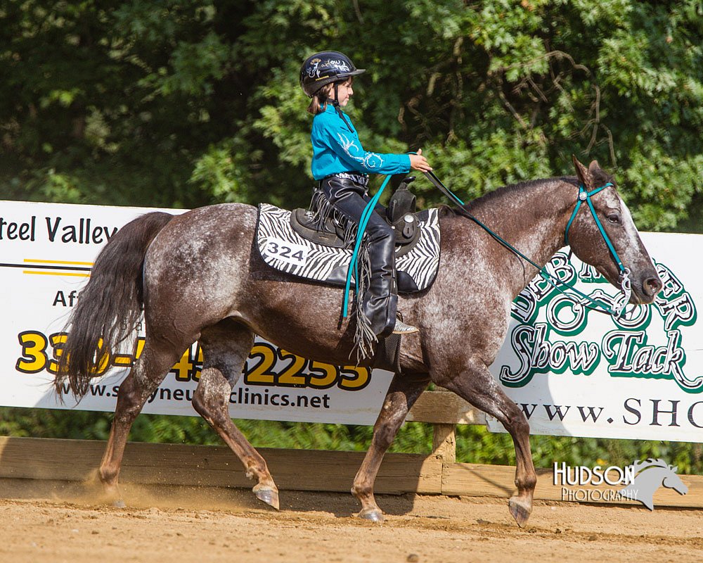 4H-Distr-090713-0973.jpg