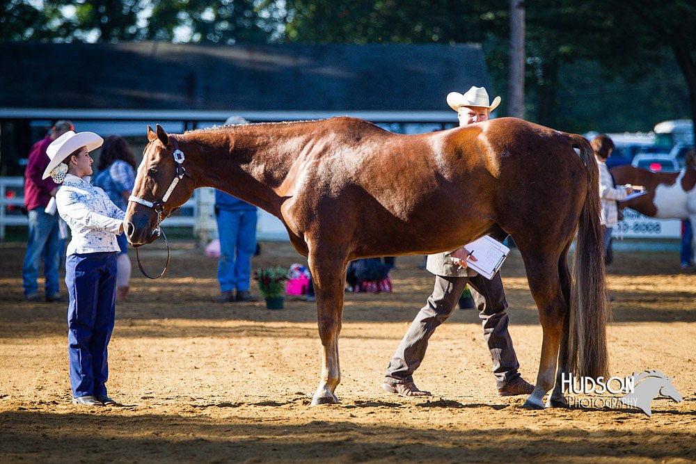 4H-Distr-090713-0607.jpg