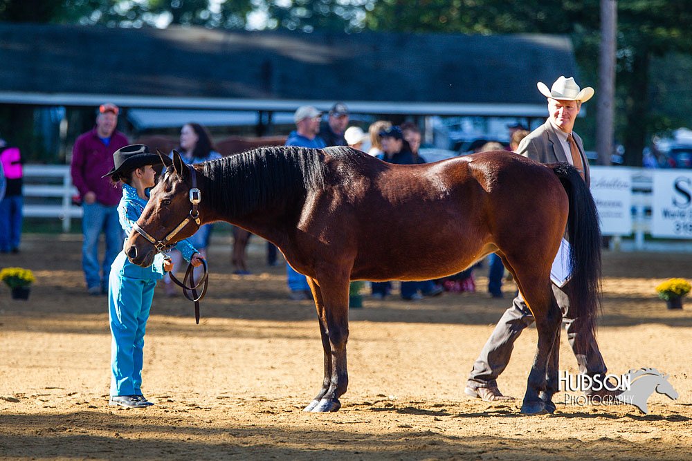 4H-Distr-090713-0618.jpg