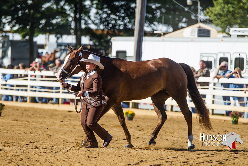 4H-Distr-090713-0628.jpg