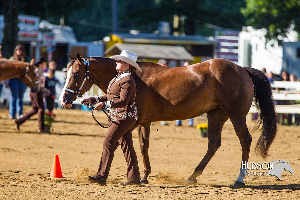4H-Distr-090713-0631.jpg