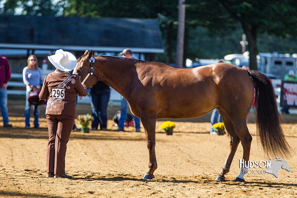 4H-Distr-090713-0632.jpg