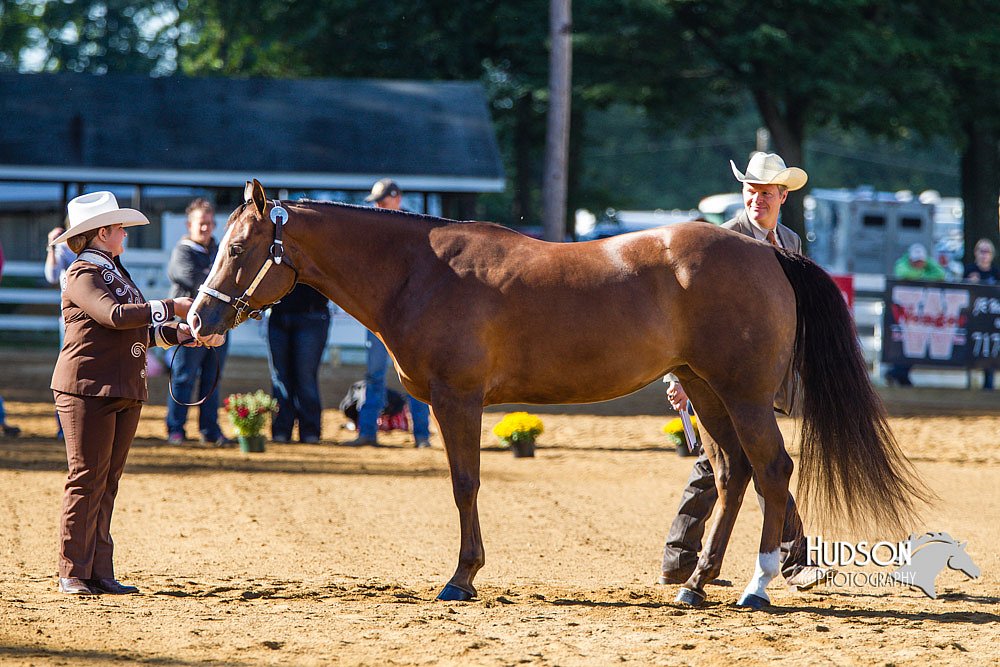 4H-Distr-090713-0633.jpg