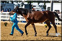 4H-Distr-090713-0615.jpg