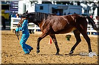 4H-Distr-090713-0616.jpg