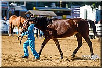 4H-Distr-090713-0617.jpg