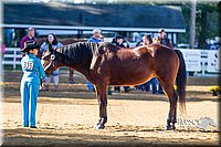 4H-Distr-090713-0619.jpg