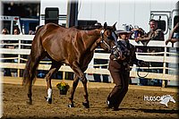 4H-Distr-090713-0625.jpg