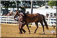 4H-Distr-090713-0628.jpg