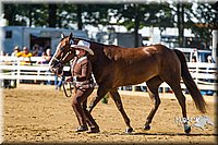 4H-Distr-090713-0629.jpg