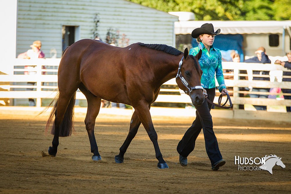 4H-Distr-090713-0571.jpg
