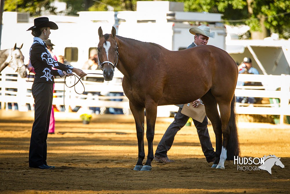 4H-Distr-090713-0578.jpg