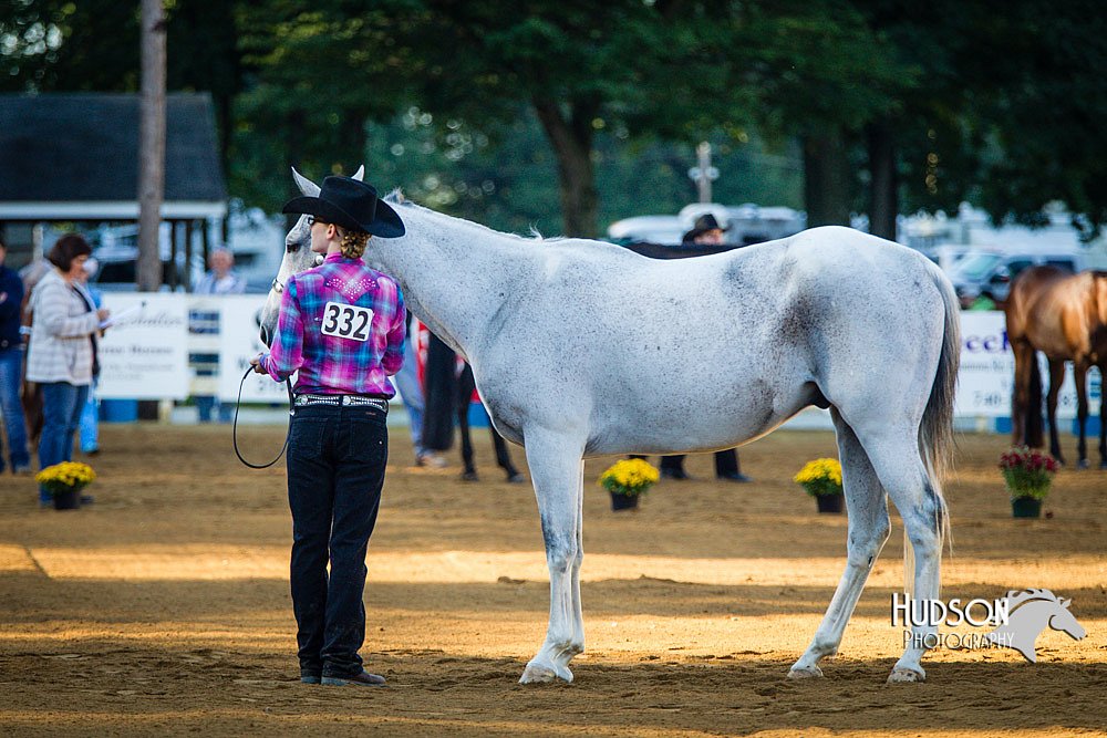 4H-Distr-090713-0587.jpg