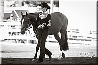 4H-Distr-090713-0577.jpg
