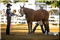 4H-Distr-090713-0578.jpg