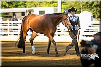 4H-Distr-090713-0581.jpg