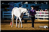 4H-Distr-090713-0584.jpg