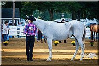 4H-Distr-090713-0587.jpg