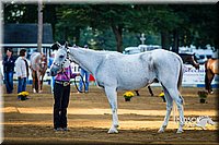 4H-Distr-090713-0588.jpg