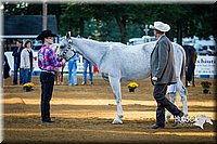 4H-Distr-090713-0589.jpg