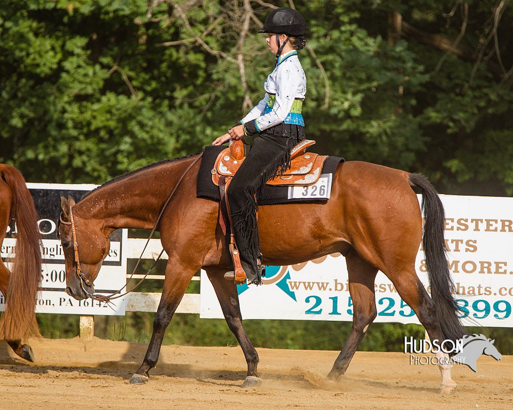 4H-Distr-090713-1107.jpg