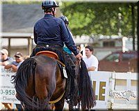 4H-Distr-090713-1121.jpg