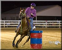 Barrels-Horse-Jr