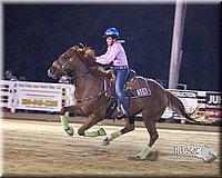 Barrels-Horse-Sr