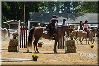 Open-Trail-Pony