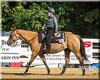 WT-Western-Pleasure-Horse