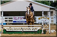 Low-Working-Hunter-Horse