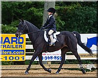 WT-English-Equitation-Pony