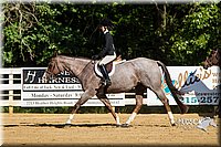 Hunt-Seat-Equitation-Jr