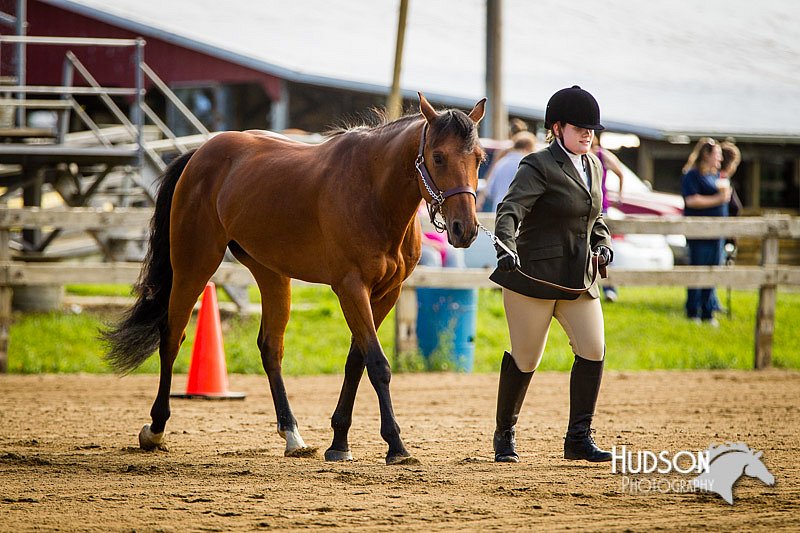 4H-1st-071313-1025.jpg